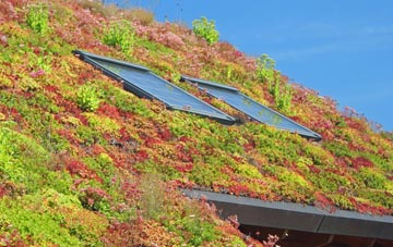 Flax Bourton living roof systems
