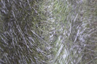 Flax Bourton fibreglass roof work